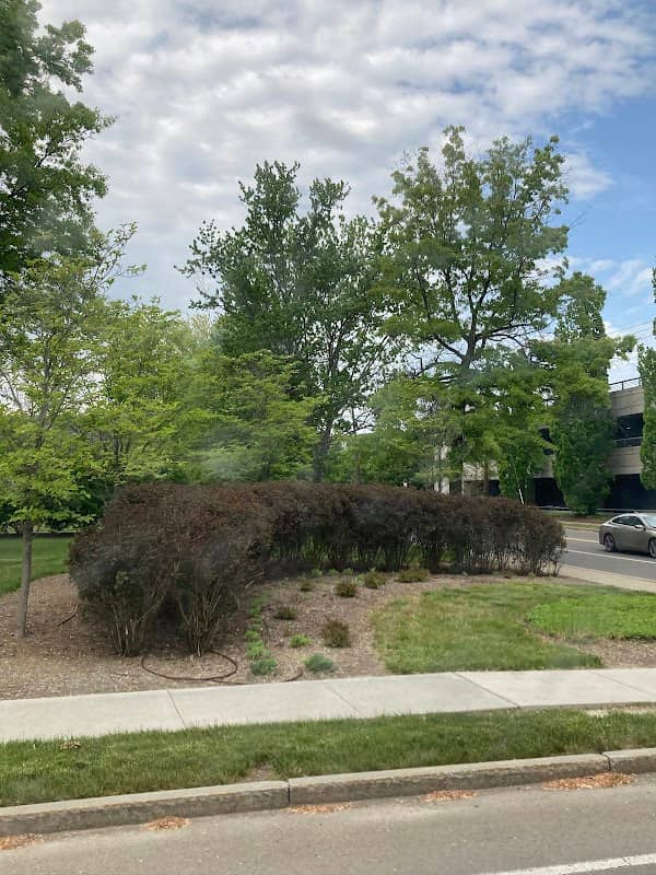 Corning Incorporated Greenspace - Image 1