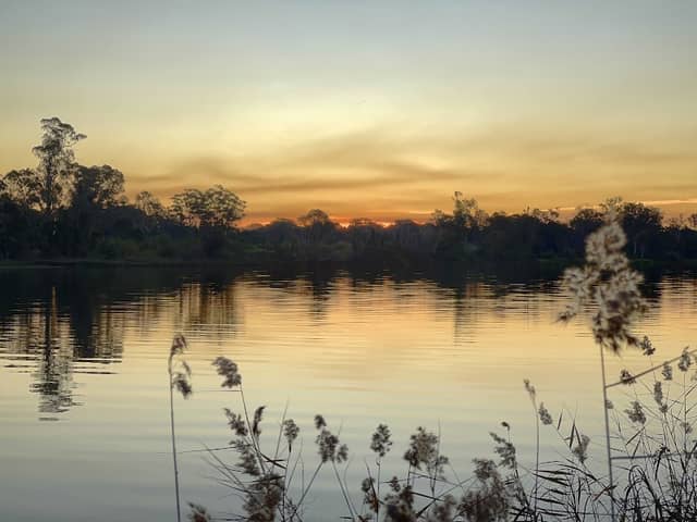 Susan Island Nature Reserve - Image 2
