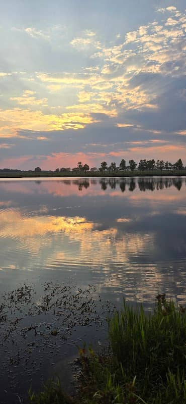 Milton "Buddy" Hopkins Nature Preserve - Image 2