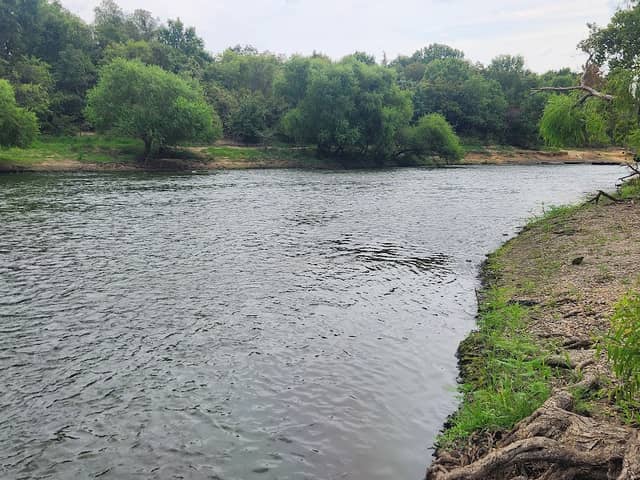 Redbud trail - Image 1