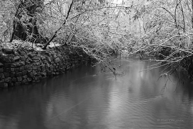 LBOLA's Skokie River Prairie Land and Water Reserve - Image 2