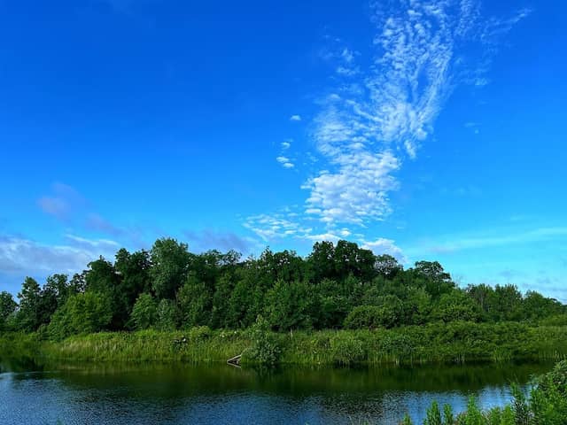 Emerald Preserve Park - Image 1