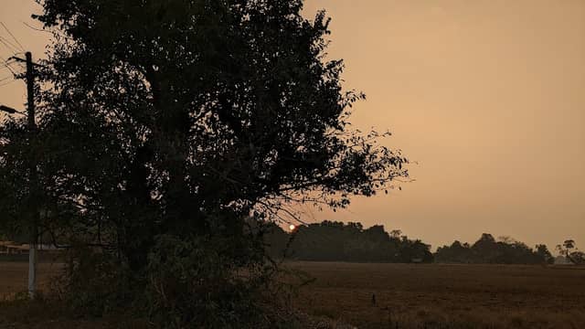 Viewpoint - Image 1