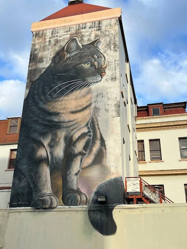 SWIFTMANTIS Cat Mural - Squishee the Alley Cat - Image 1