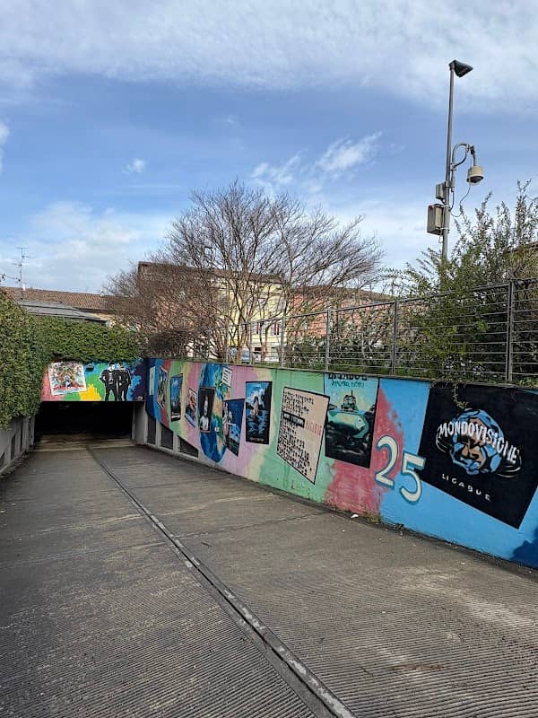 Murales dedicato a Luciano Ligabue - Image 1