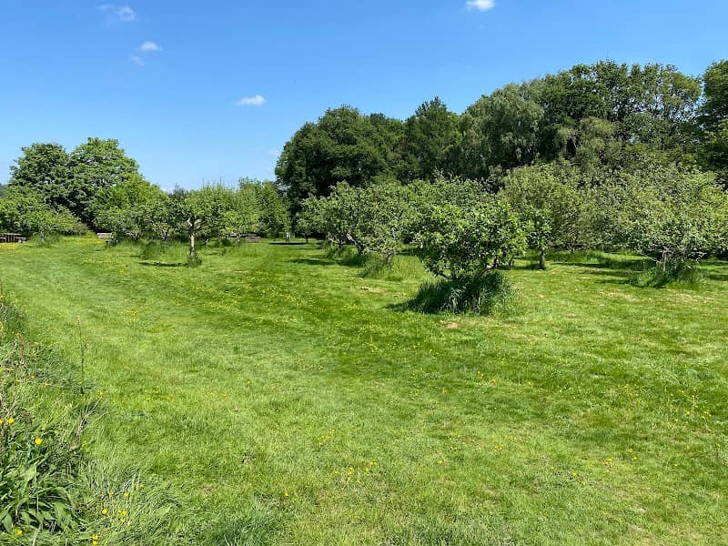 Vaughan Millennium Orchard - Image 1