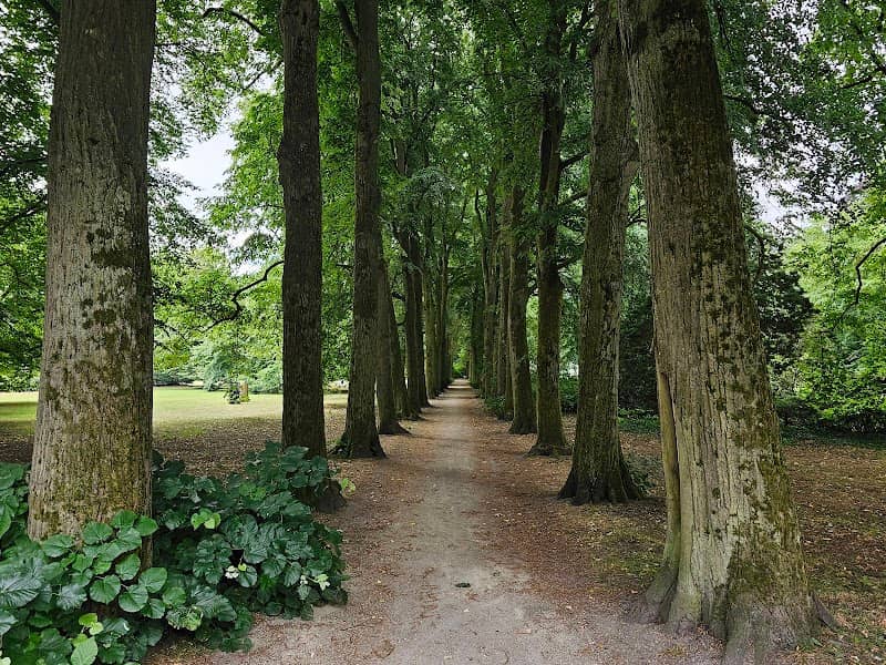 Slotpark - Image 1