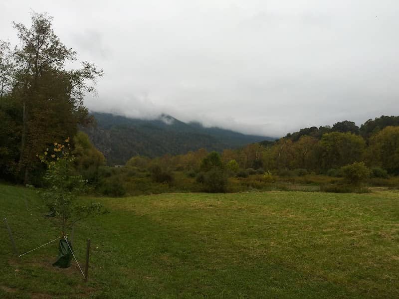 Jackson River Scenic Trail - Natural Well Trailhead - Image 2