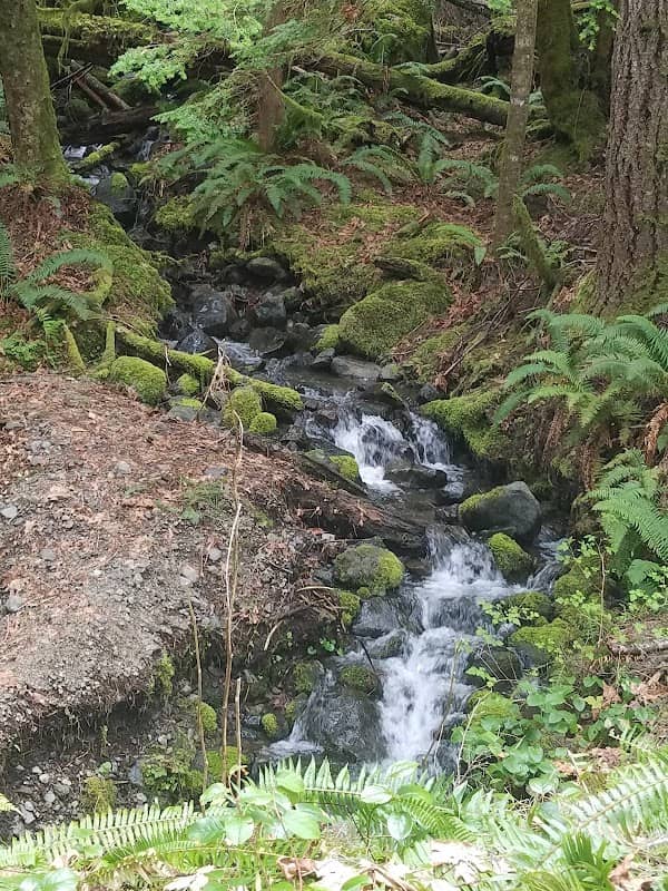 Notch Pass Trail - Image 2