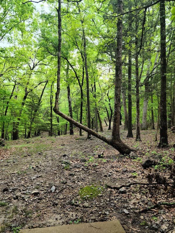 Dragon Ridge Disc Golf Course - Image 1