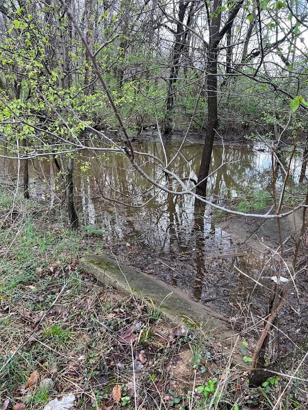 Crosby Park - Image 2