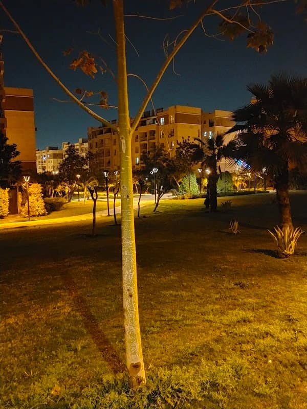 Park - Image 1