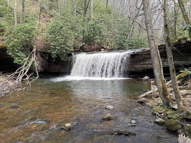 Clinch Mountain Wildlife Management Area - Image 2