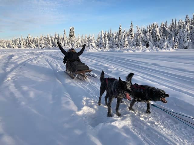 Northern Dogsong Journeys - Image 1