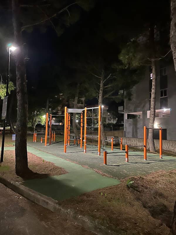 Parchetto Calisthenics - Image 2