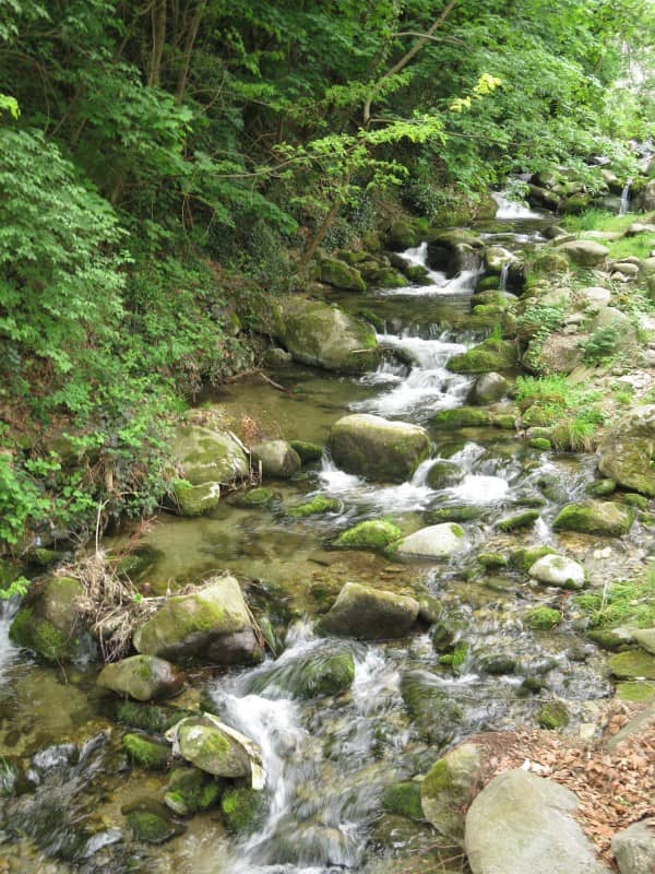 Torrente Albetta - Image 1