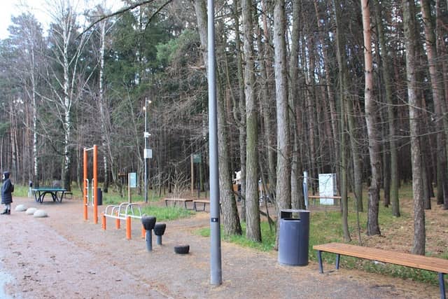 Park Govorovskiy Les. - Image 1