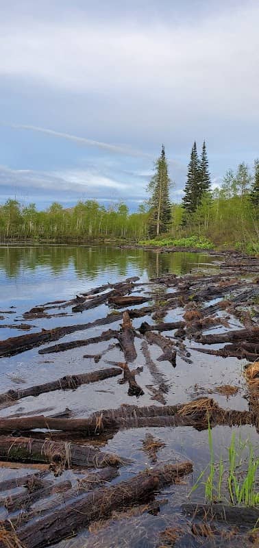 Hardy Lake - Image 1