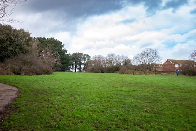 Chatsworth Park - Image 2