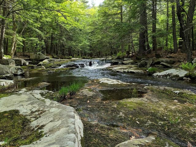 Mad River Conservation Land , The Flume - Image 1
