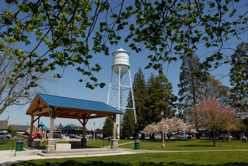 Comeford Park - Image 2