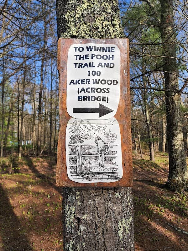 Winnie The Pooh Trail - Image 1