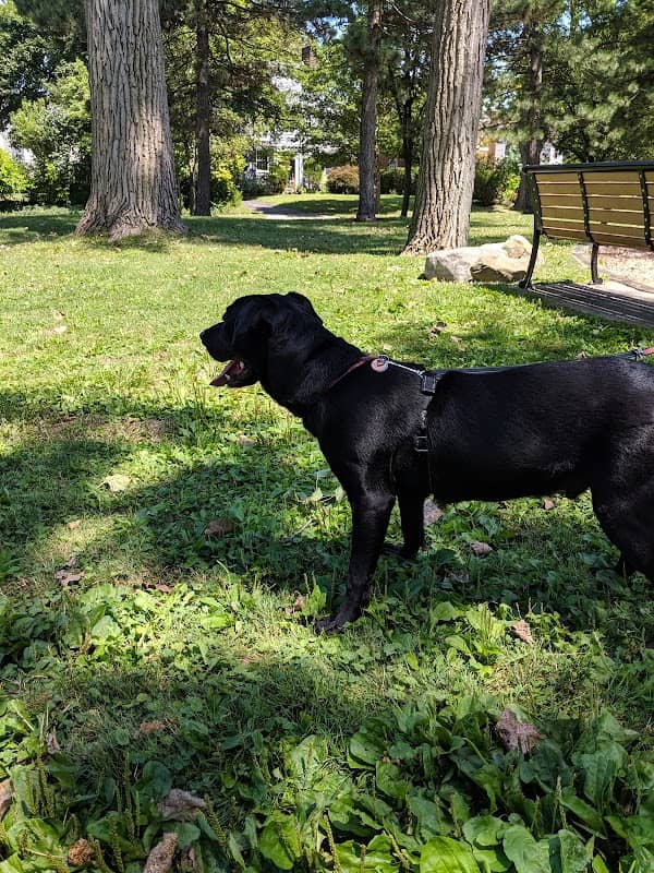 Gridley Triangle Park - Image 1