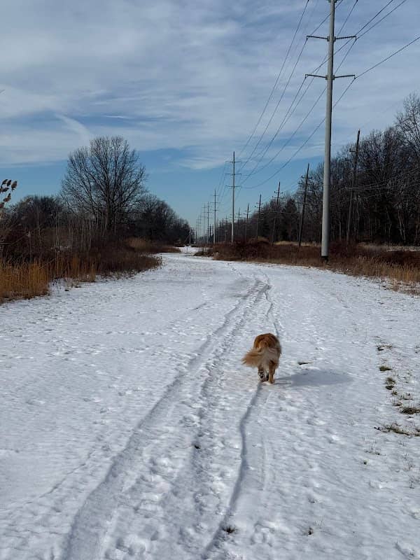 Jon Briggs Memorial Trail - Image 1