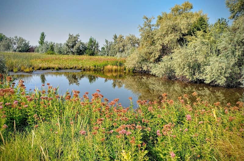 Dale Young Nature Park - Image 1