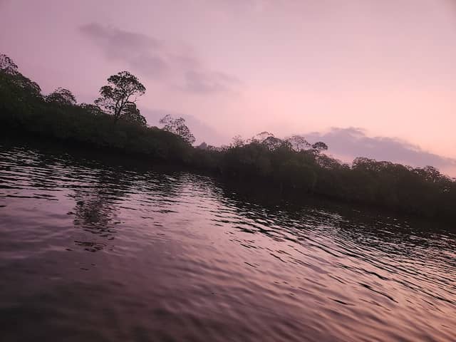 Havelock - Andaman and Nicobar Islands - Image 3