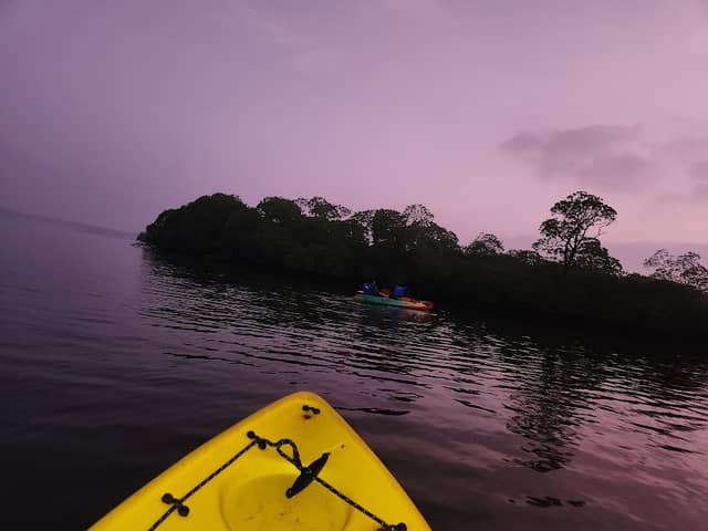 Havelock - Andaman and Nicobar Islands - Image 2