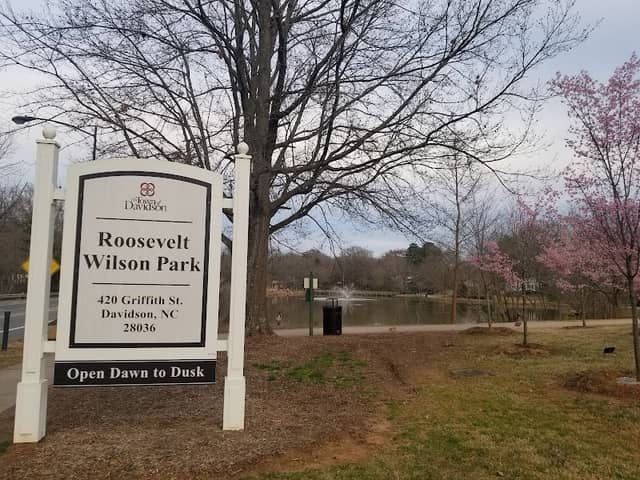Roosevelt Wilson Park - Image 1
