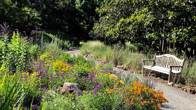 Marin Art and Garden Center - Image 1