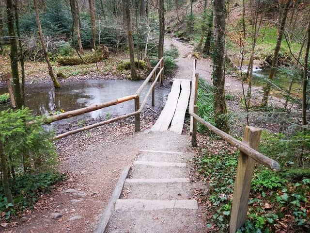 Benzenschwiler Kinderweg - Image 1