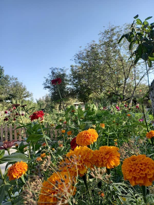 Başbuğ Park - Image 2