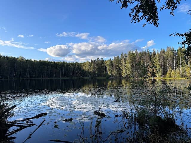Svarttjernet - Image 1