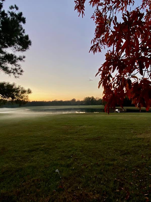 Molly's Meadow - Image 1