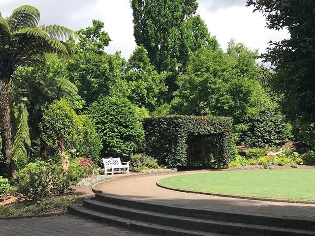 Hammond Camellia Garden - Image 1