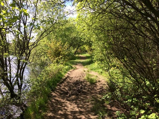 Outwood Country Park - Image 2