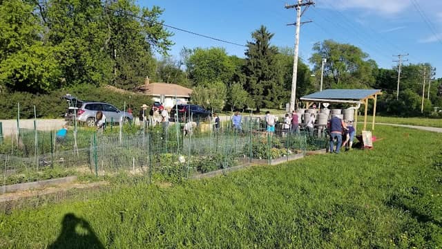 Glendale Community Garden - Image 2