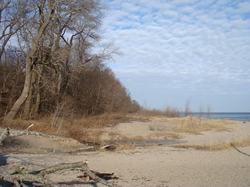 Doctor's Park - Image 2