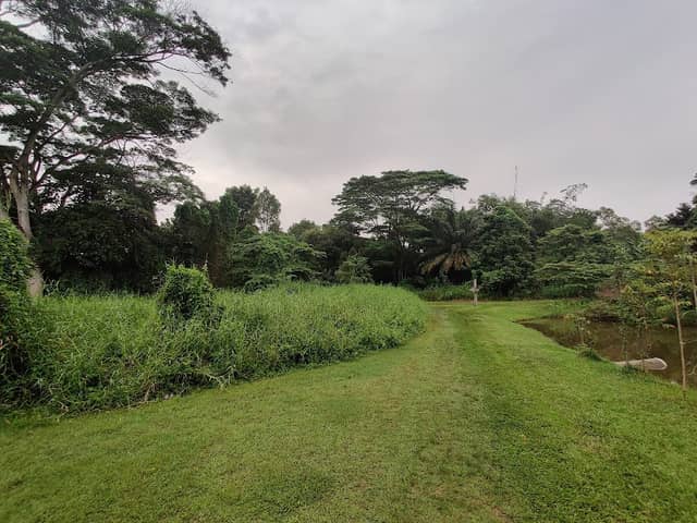 Tampines Eco Green - Image 1