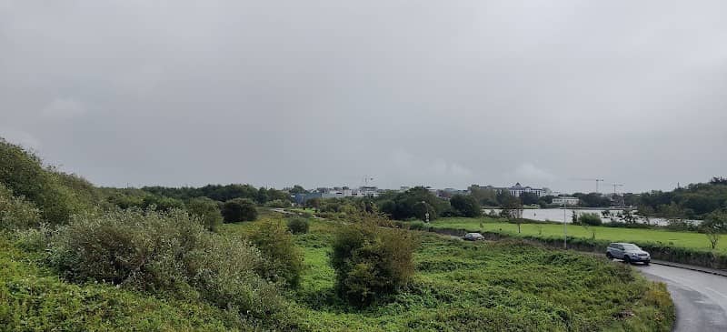 Terryland Forest Park - Image 2