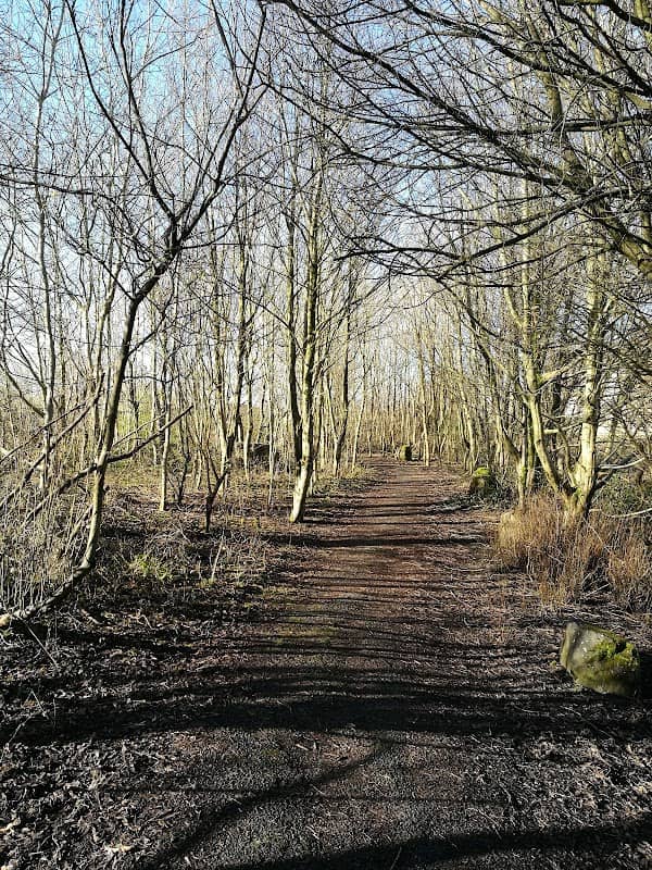 Terryland Forest Park - Image 1