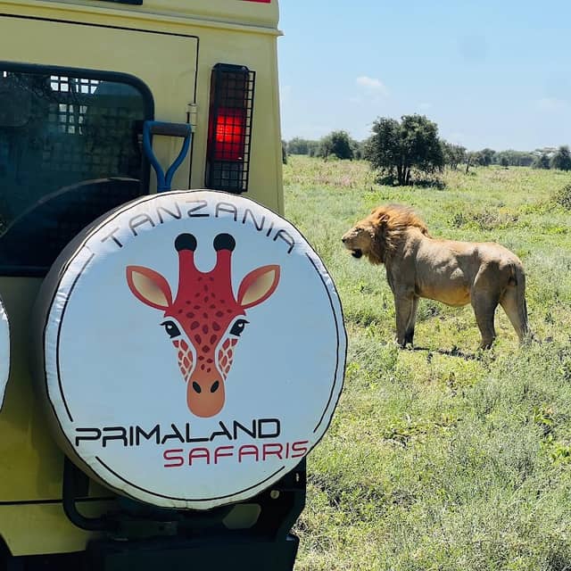 Primaland Safaris Tanzania - Image 1