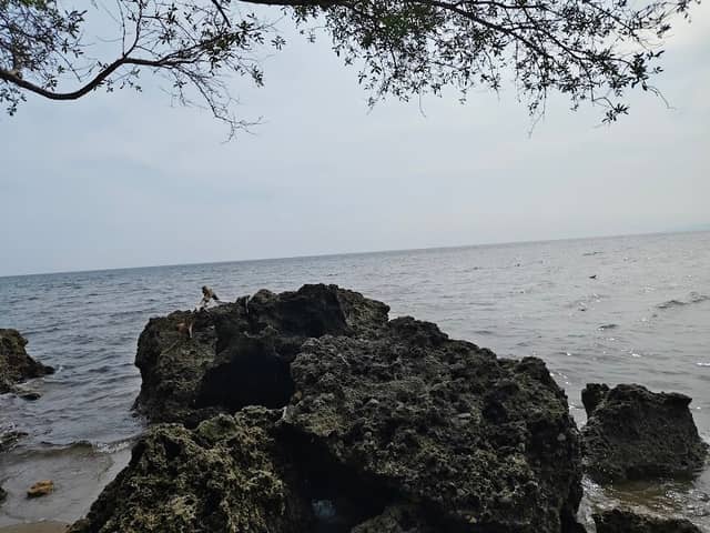 Kastilyo, Wawang Olo-olo, Lobo, Batangas - Image 1