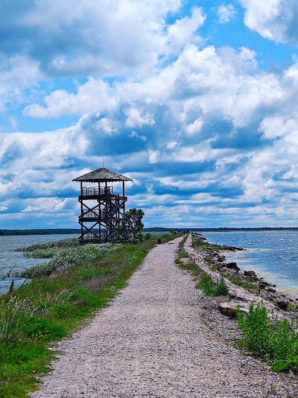 Viewing platform of Liepaja lake - Image 1