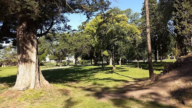 Parque Miedan - Image 1