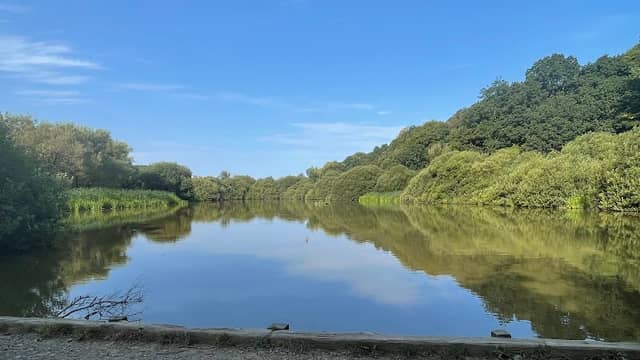 Kenwith Valley Nature Reserve - Image 1