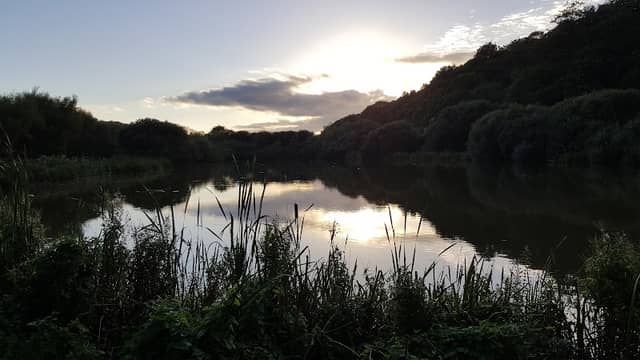 Kenwith Valley Nature Reserve - Image 2